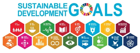 SDG Goals